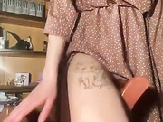 Kaplev