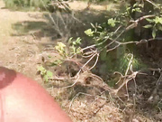 murkalux