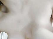 Sweet-cat