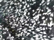 SportyGerl