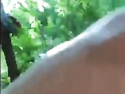 ButterflySay