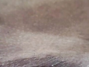 Zerro9934