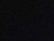Blackcat11133