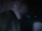Blackcat11133