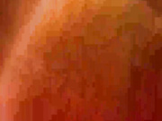 marsandvenera