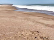 Лиза Коваленко