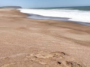 Лиза Коваленко