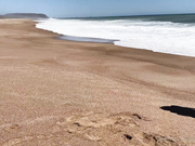 Лиза Коваленко