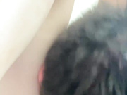 lin4el