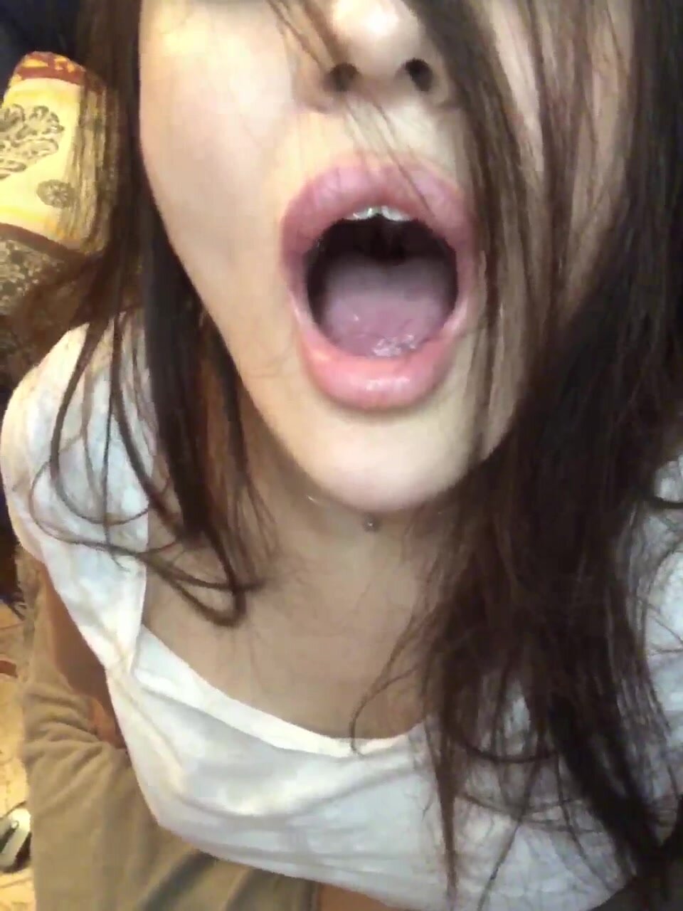Ellidi-2