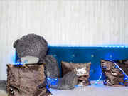 Kristina Alexandrovna