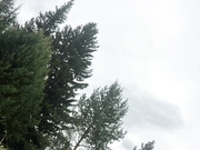 murkalux