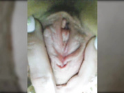 LadyDi11
