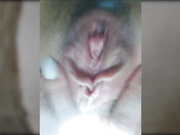 LadyDi11