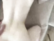 LekfullKitten