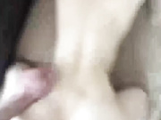 LekfullKitten