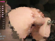LulaHofyn