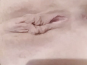 Alenkakiska2