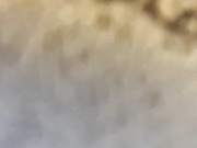 Leilalo-1