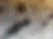 Leilalo-1