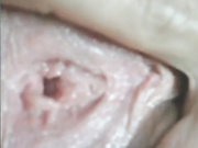 LadyDi11