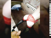 Sexsilady