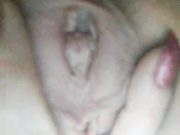 ladydi11