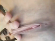 Bongomams
