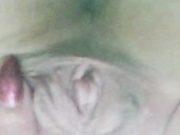 LadyDi11