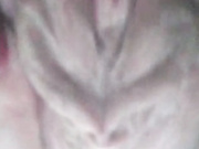 LadyDi11