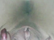 LadyDi11