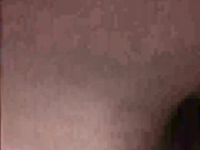 PollyLy