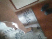 Catsb