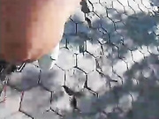SpartakCHemp