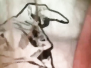 Lusi19