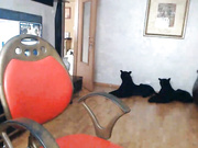 Bellabelisima