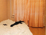 Touch_me_more_please