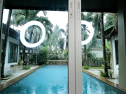 lily_14