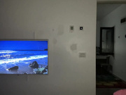 kiradivine 2022-08-06