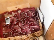 JosephMariella69