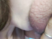 Foxycouple