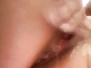 _Anasteisha_