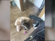 Nata-v-halate безумный горловой