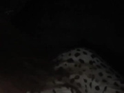 Bitter_honey