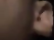 Bitter_honey