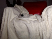 sweeetie-caroline-2021-11-21