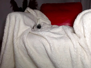 sweeetie-caroline-2021-11-21