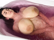 bboobscarol