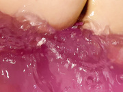 bboobscarol