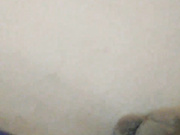 LittleDelora